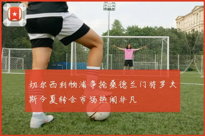 切尔西利物浦争抢桑德兰门将罗夫斯今夏转会市场热闹非凡
