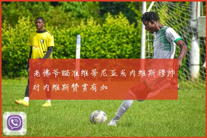 老佛爷瞄准维蒂尼亚或内维斯穆帅对内维斯赞赏有加