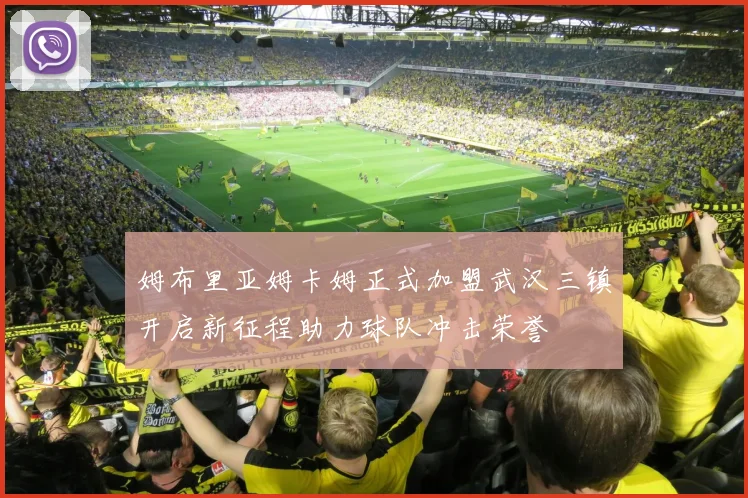 姆布里亚姆卡姆正式加盟武汉三镇开启新征程助力球队冲击荣誉